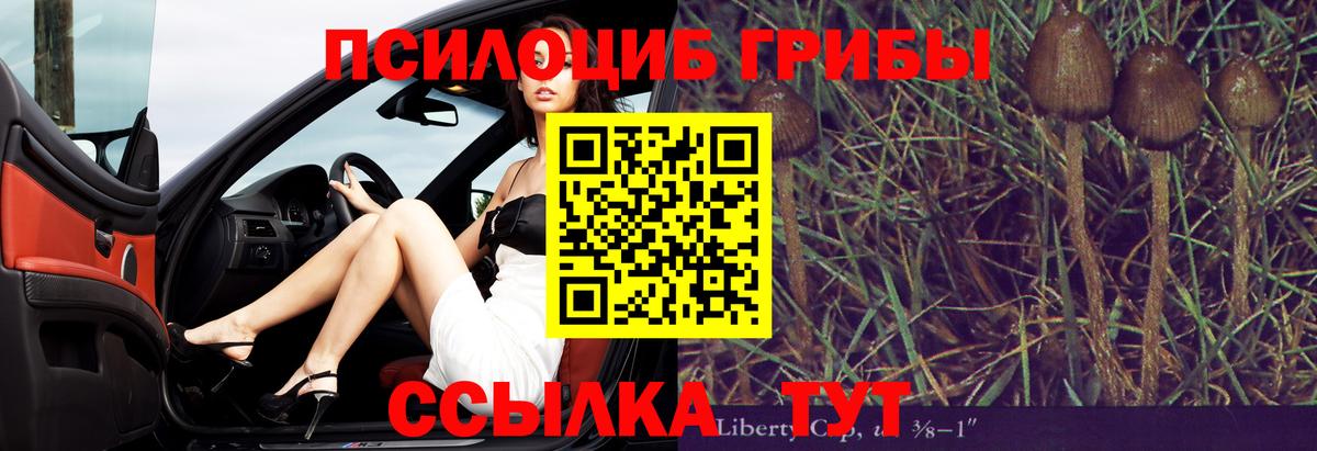 Псилоцибиновые грибы GOLDEN TEACHER Будённовск